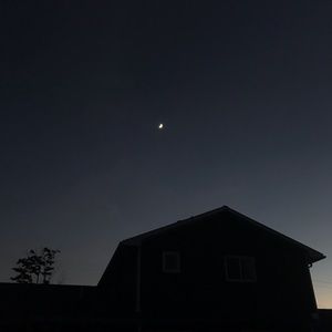 Meet your Posher, Genevieve